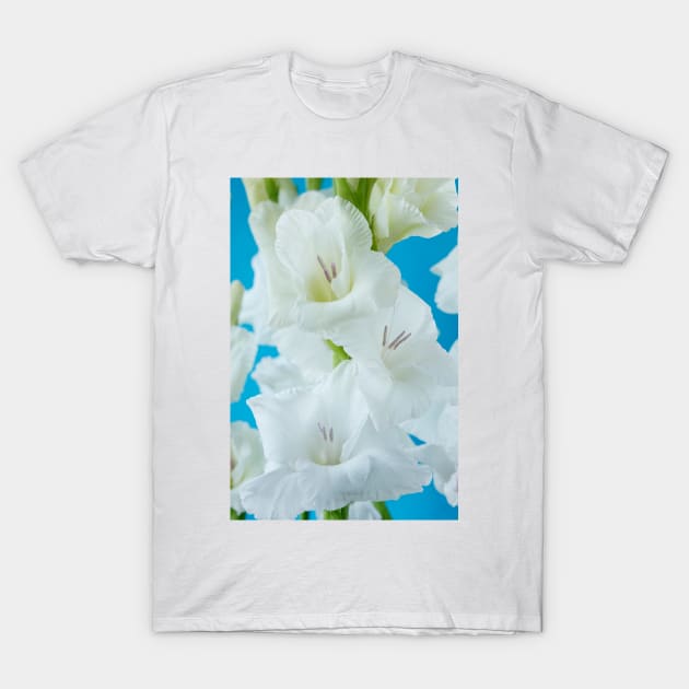 Gladiolus  'White Friendship' T-Shirt by chrisburrows